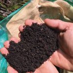 Nutrient rich compost soil